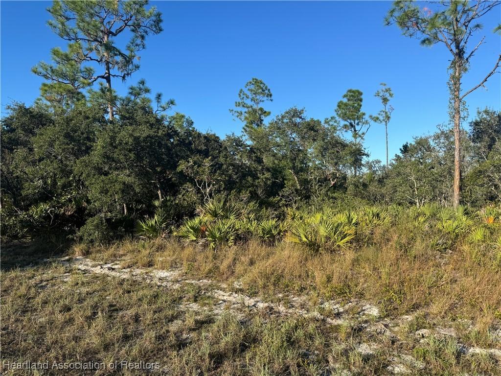 1239 Popinjay Ave, Lake Placid, FL 33852 - photo 4
