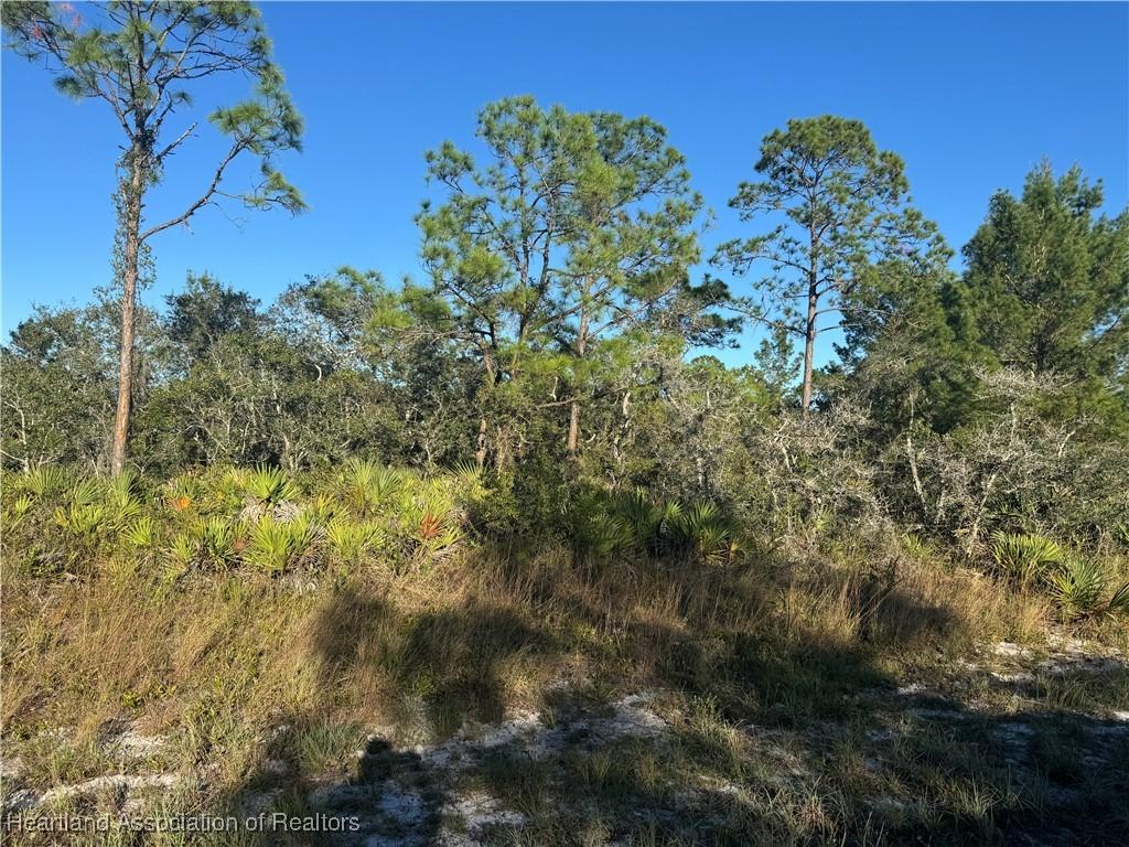 1239 Popinjay Ave, Lake Placid, FL 33852 - photo 1