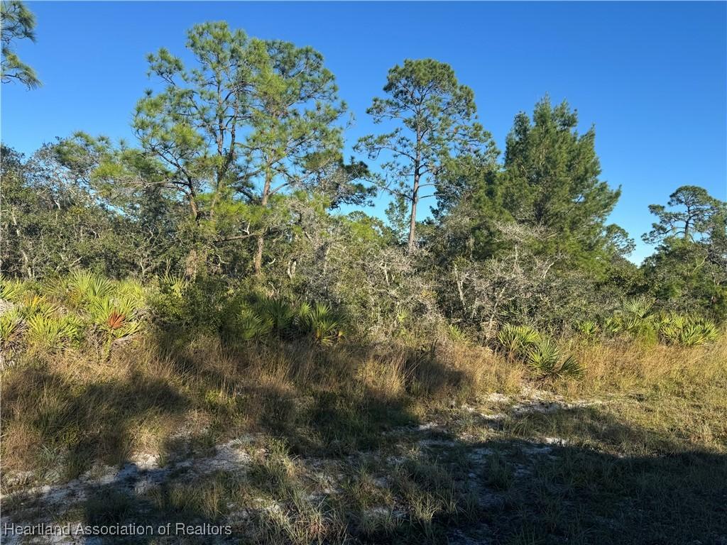 1239 Popinjay Ave, Lake Placid, FL 33852 - photo 2