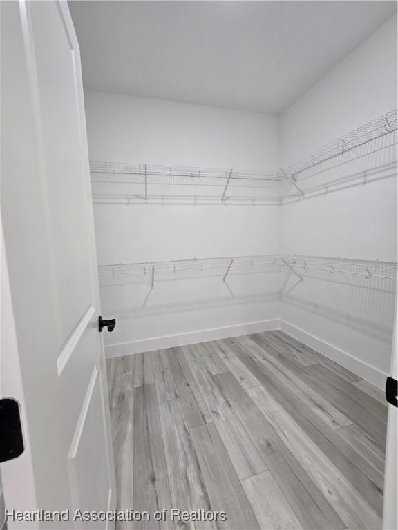 walk in closet with light wood-type flooring