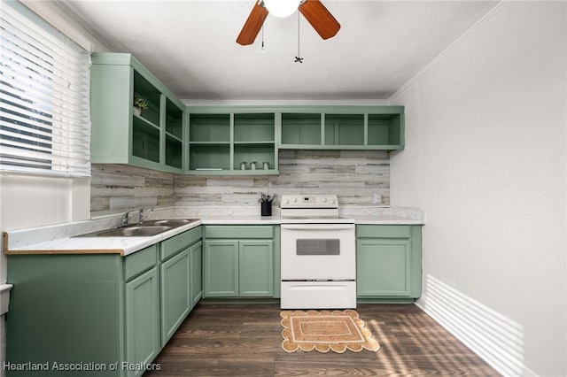412 Rose Ave, Sebring, FL 33870 - kitchen with tasteful backsplash, open shelves, a sink, green cabinets, and electric range