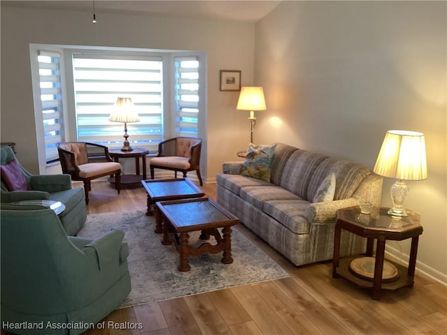 living room with hardwood / wood-style flooring