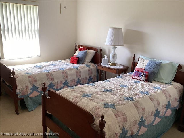 bedroom with carpet floors