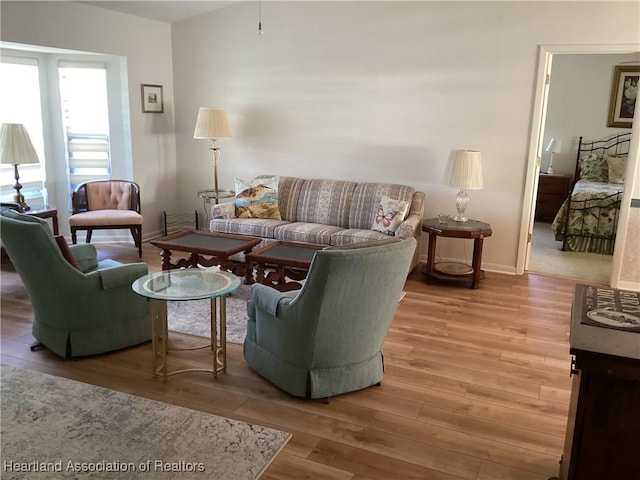 living room featuring wood-type flooring