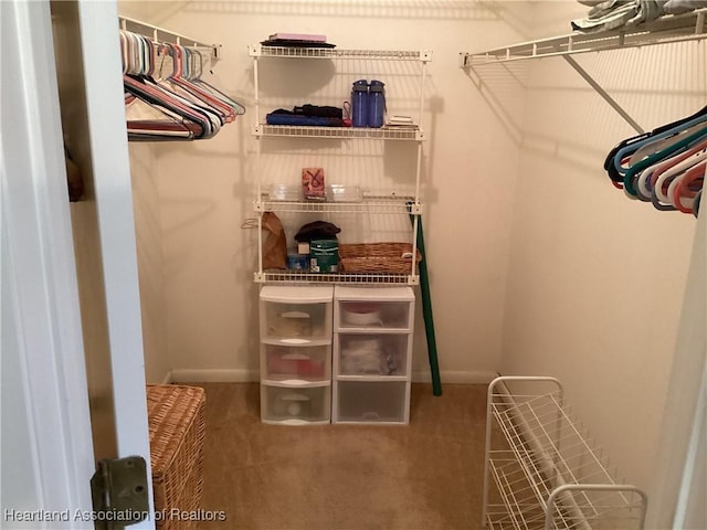 walk in closet with carpet flooring