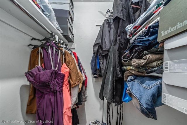 view of walk in closet