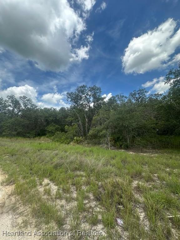 3064 W Ryder Rd, Avon Park, FL 33825 - photo 1