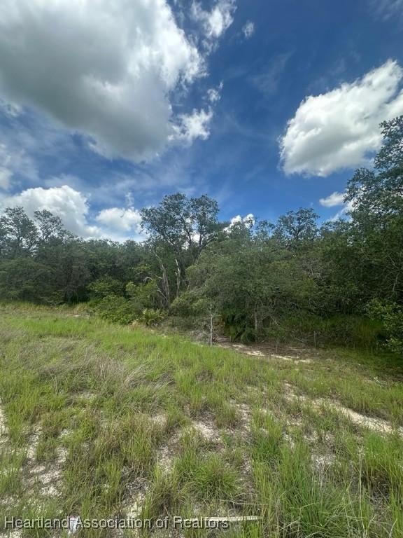 3064 W Ryder Rd, Avon Park, FL 33825 - photo 6