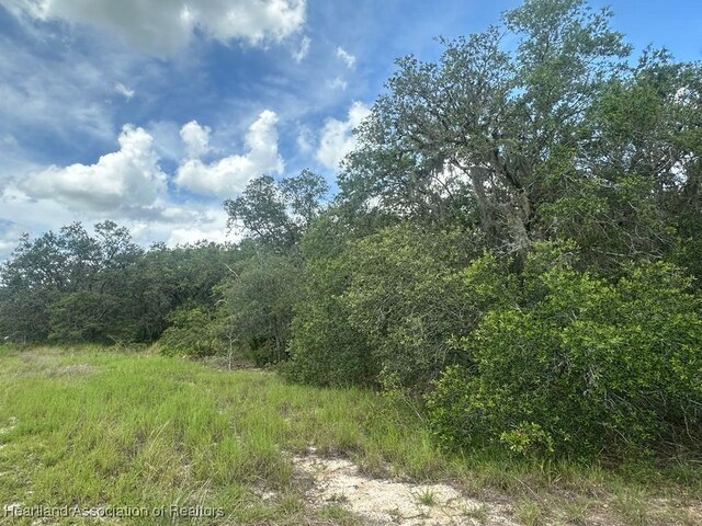 3064 W Ryder Rd, Avon Park, FL 33825 - photo 5