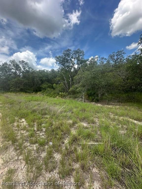 3064 W Ryder Rd, Avon Park, FL 33825 - photo 7