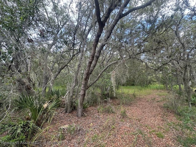 3064 W Ryder Rd, Avon Park, FL 33825 - photo 2