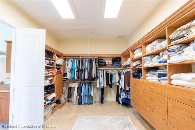 view of spacious closet