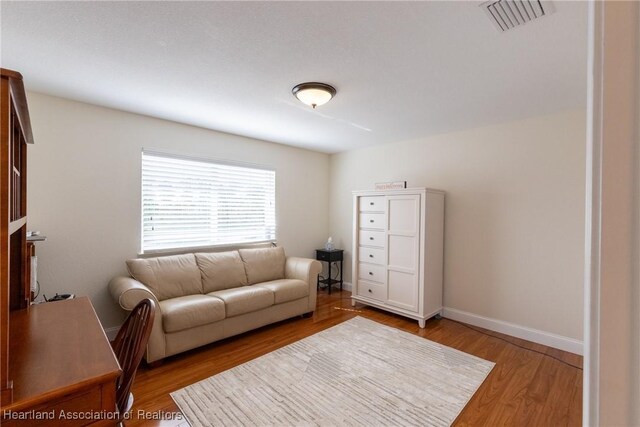 living room featuring light hardwood / wood-style flooring