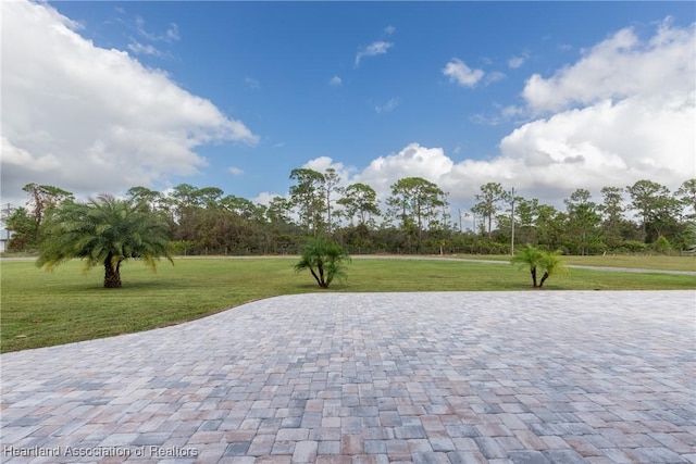 view of property's community featuring a yard