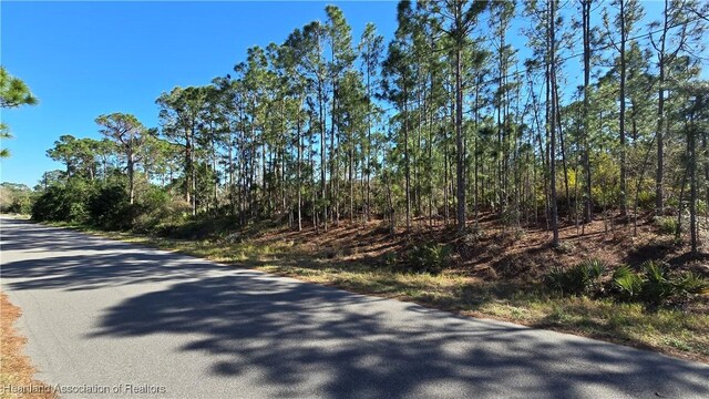 103 Sentimental Ct, Lake Placid, FL 33852 - photo 5