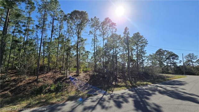 103 Sentimental Ct, Lake Placid, FL 33852 - photo 3