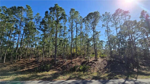 103 Sentimental Ct, Lake Placid, FL 33852 - photo 6