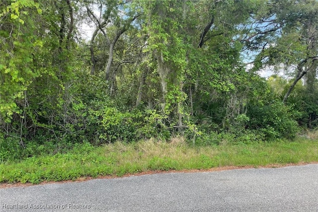 3040 Redwood Rd, Lake Placid, FL 33852