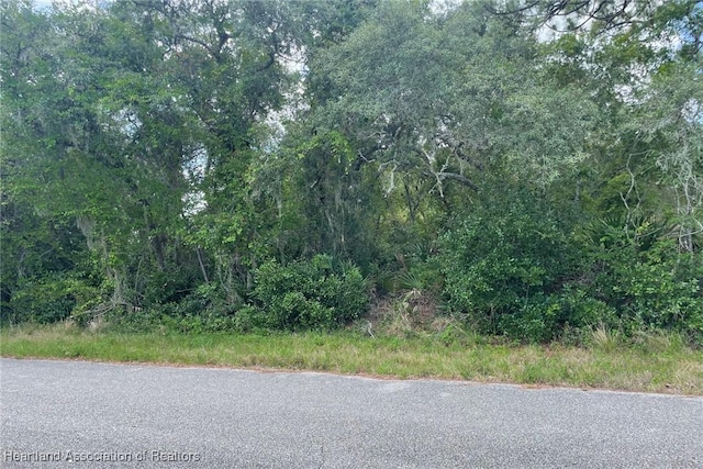 3040 Redwood Rd, Lake Placid, FL 33852