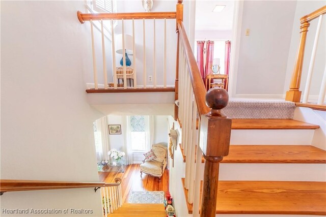 staircase featuring hardwood / wood-style flooring