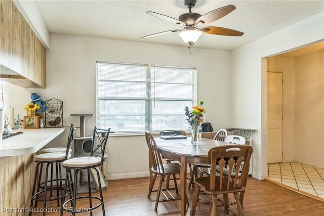 dining area featuring ceiling fan, light hardwood / wood-style flooring, and a textured ceiling