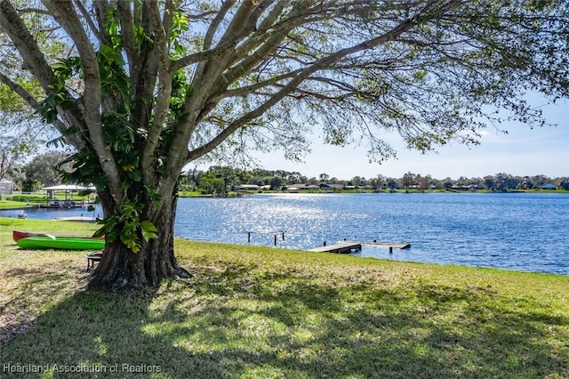 property view of water with a boat dock