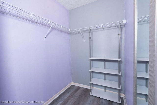 spacious closet featuring dark wood-type flooring