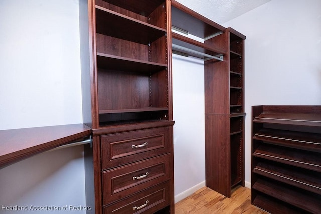 spacious closet with light wood-type flooring