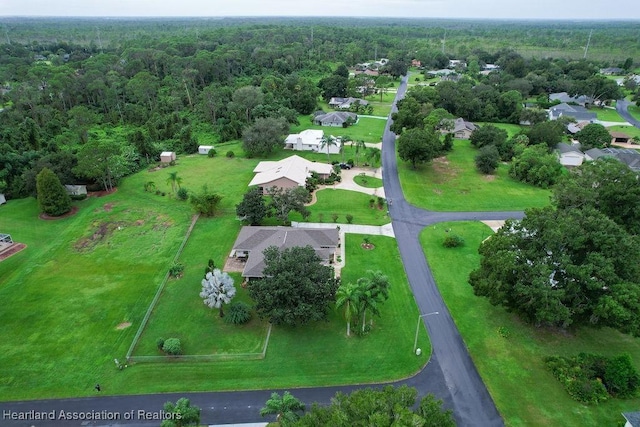 bird's eye view