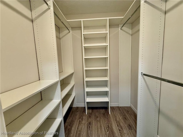 spacious closet featuring dark wood-type flooring