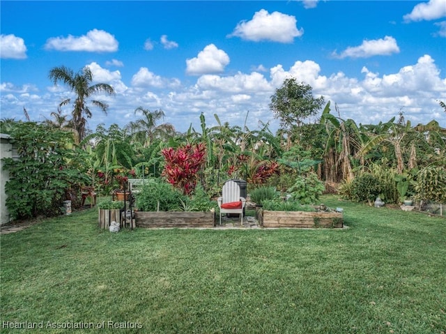 3534 Tubbs Rd, Sebring, FL 33870 - view of grassy yard