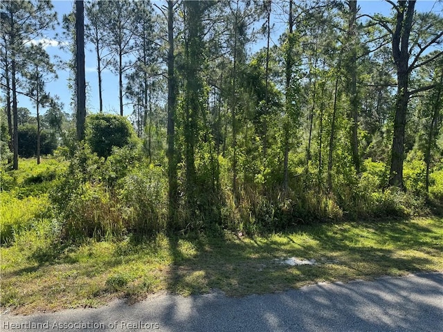 5200 Fettuccine Ave, Sebring FL, 33872 land for sale