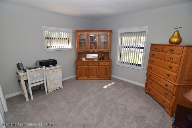 office with light colored carpet