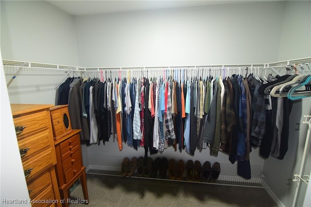 spacious closet featuring carpet