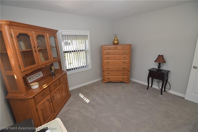 interior space with light colored carpet