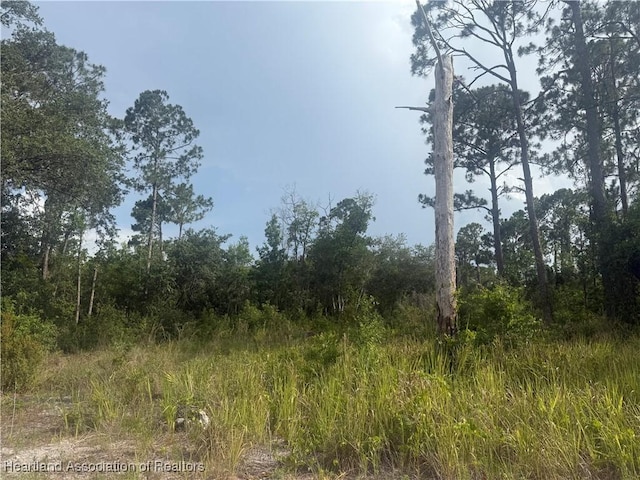234 Meadowlark Ave, Sebring, FL 33870
