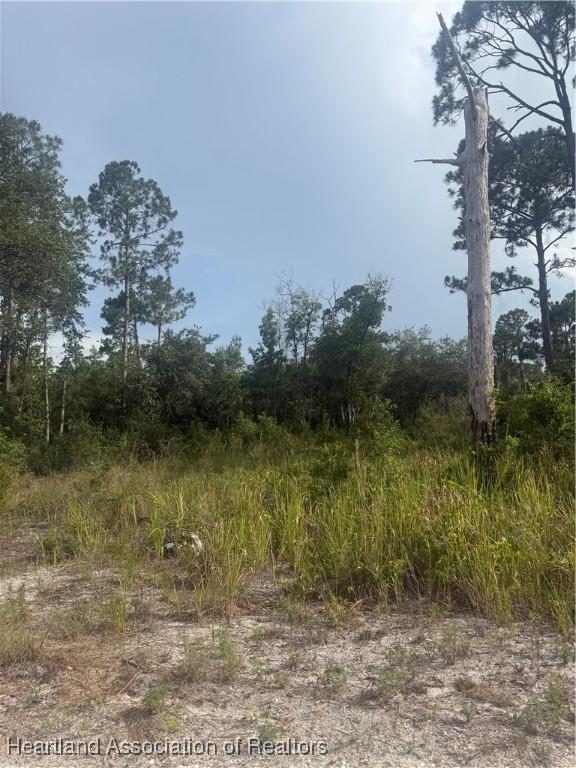 234 Meadowlark Ave, Sebring, FL 33870
