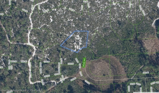 3385 Drake Ave, Sebring, FL 33875 - photo 12
