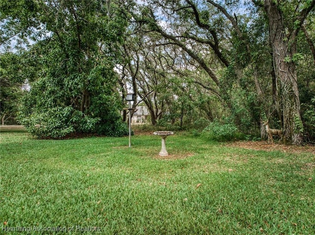 view of grassy yard