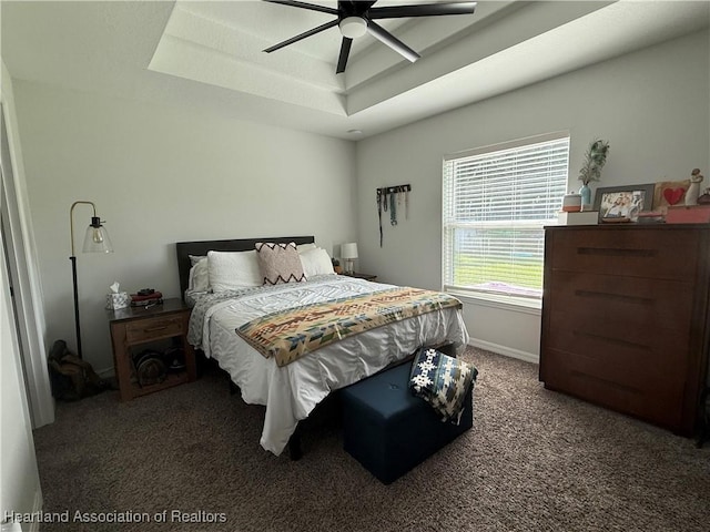 424 Branbury Ave, Lake Placid, FL 33852 - bedroom with carpet, a raised ceiling, and ceiling fan