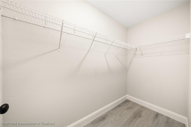 walk in closet with wood finished floors