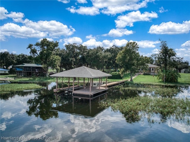 dock area with a water view