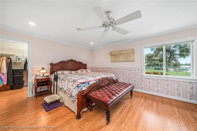 bedroom featuring a walk in closet, light hardwood / wood-style flooring, ceiling fan, ornamental molding, and a closet