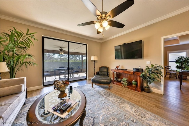 living room featuring hardwood / wood-style flooring, ceiling fan, and ornamental molding