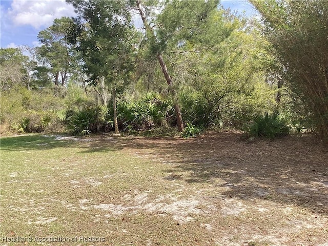 view of yard