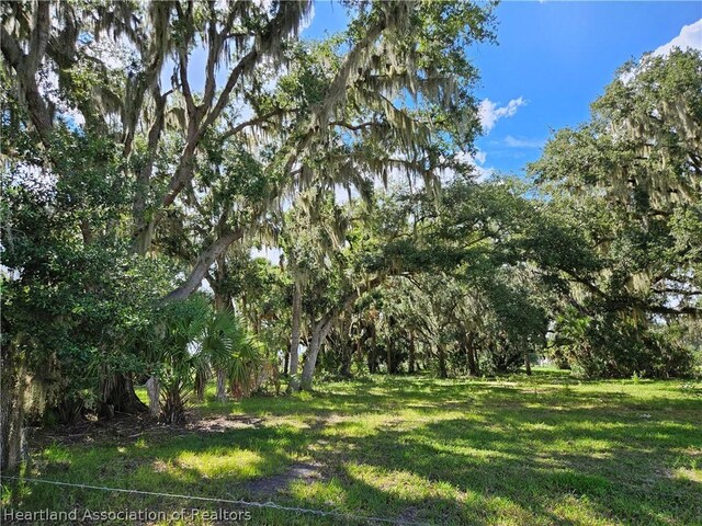 275 Doe Run, Lorida, FL 33857 - photo 8