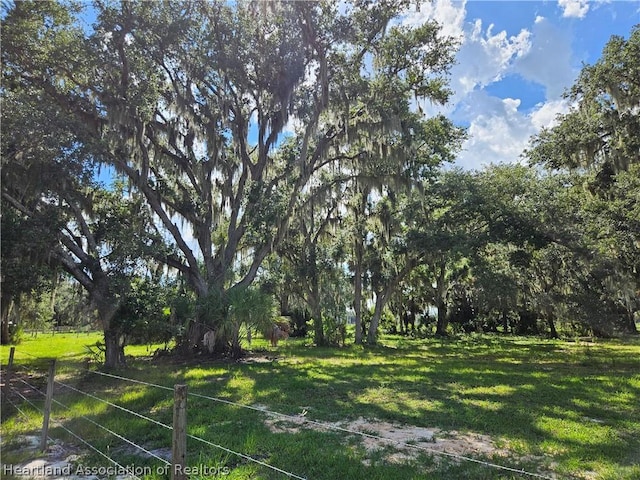275 Doe Run, Lorida, FL 33857 - photo 9