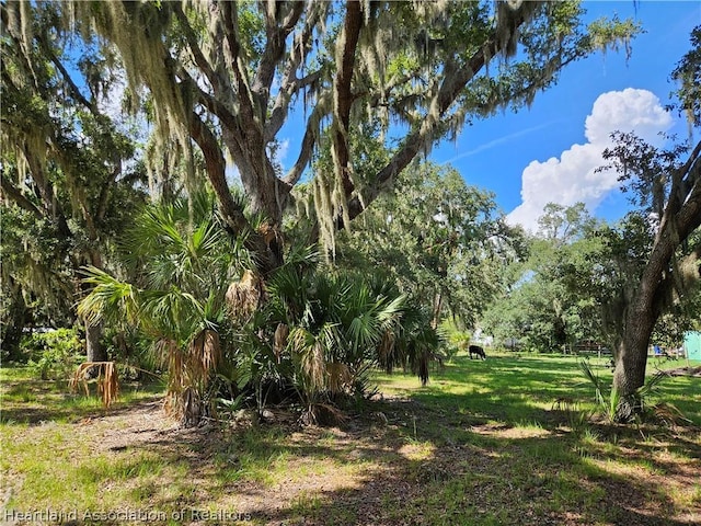275 Doe Run, Lorida, FL 33857 - photo 4