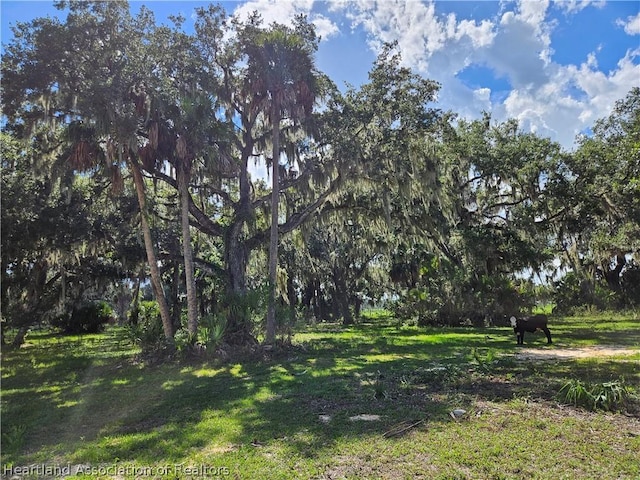 275 Doe Run, Lorida, FL 33857 - photo 5