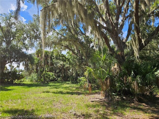 275 Doe Run, Lorida, FL 33857 - photo 6